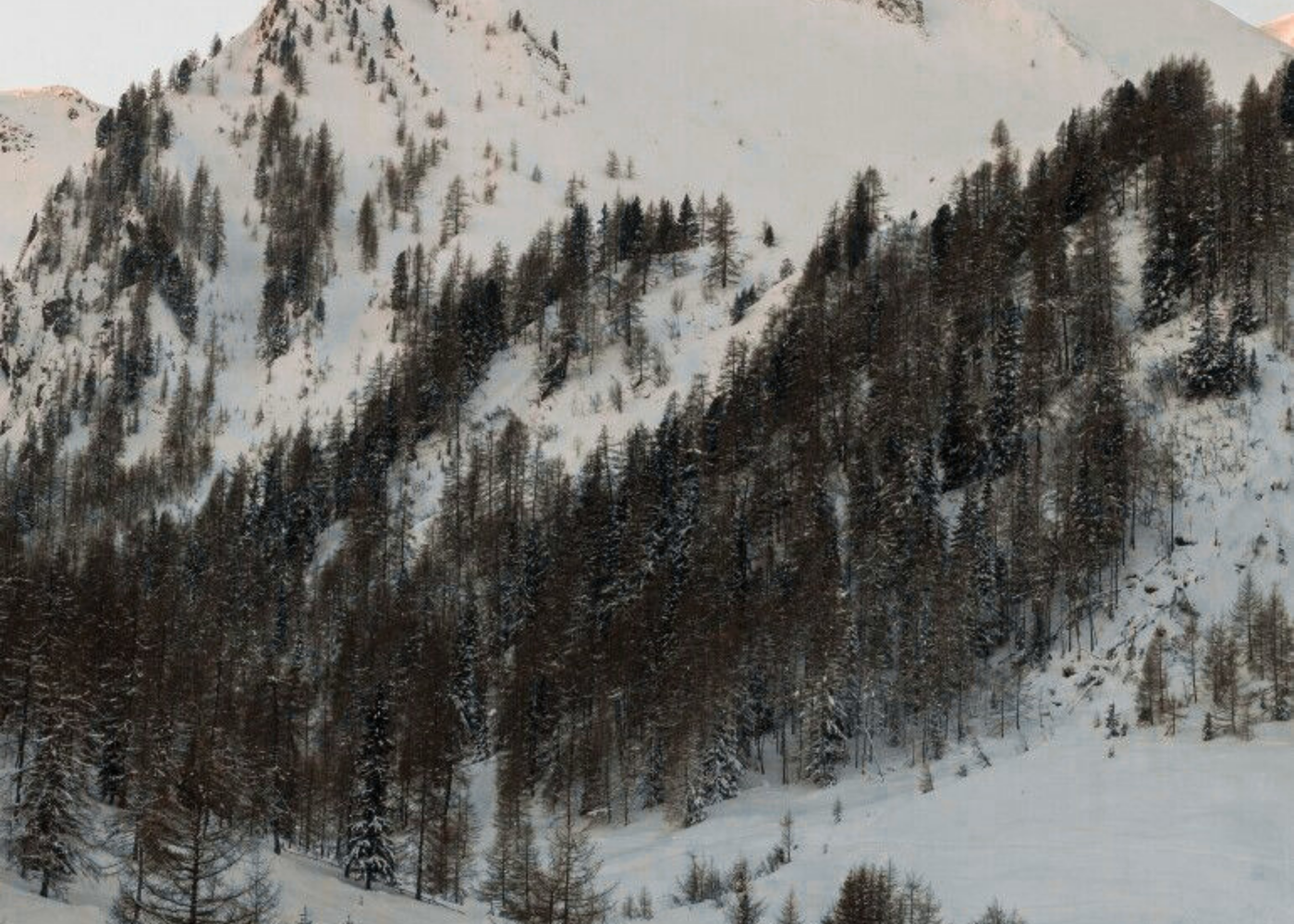 Snowy mountain landscape used in Maneridge brand storytelling.