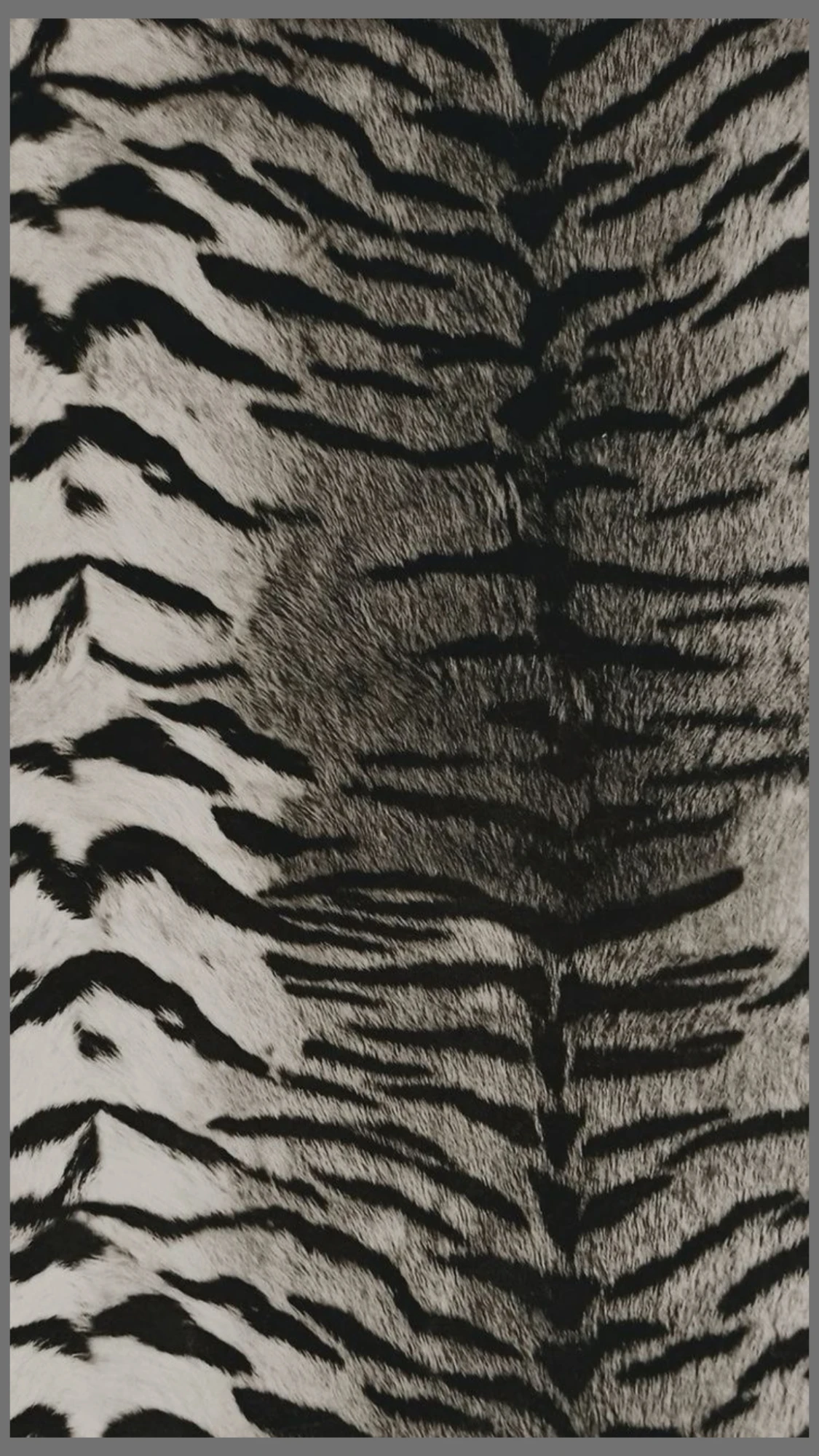 Considered detail and texture